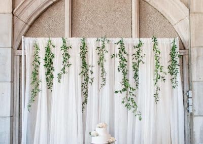 Wedding Cake Backdrop